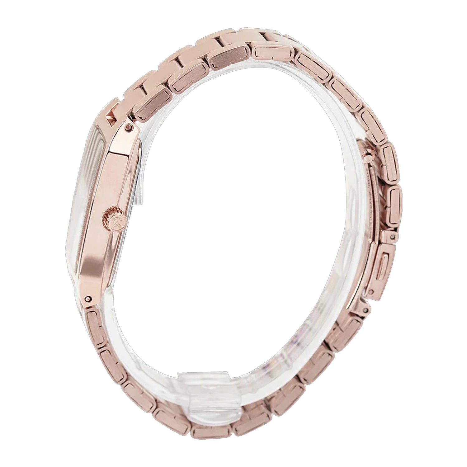 2455LDBRGSL Women's Classic Quartz Watch 22mm