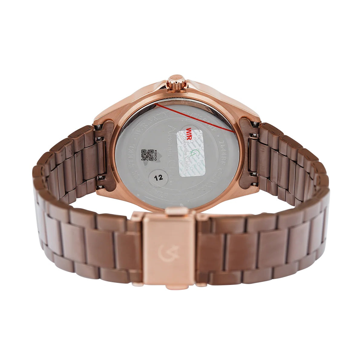 2644BFBROBO Women's Multi-Function Quartz Watch 36mm