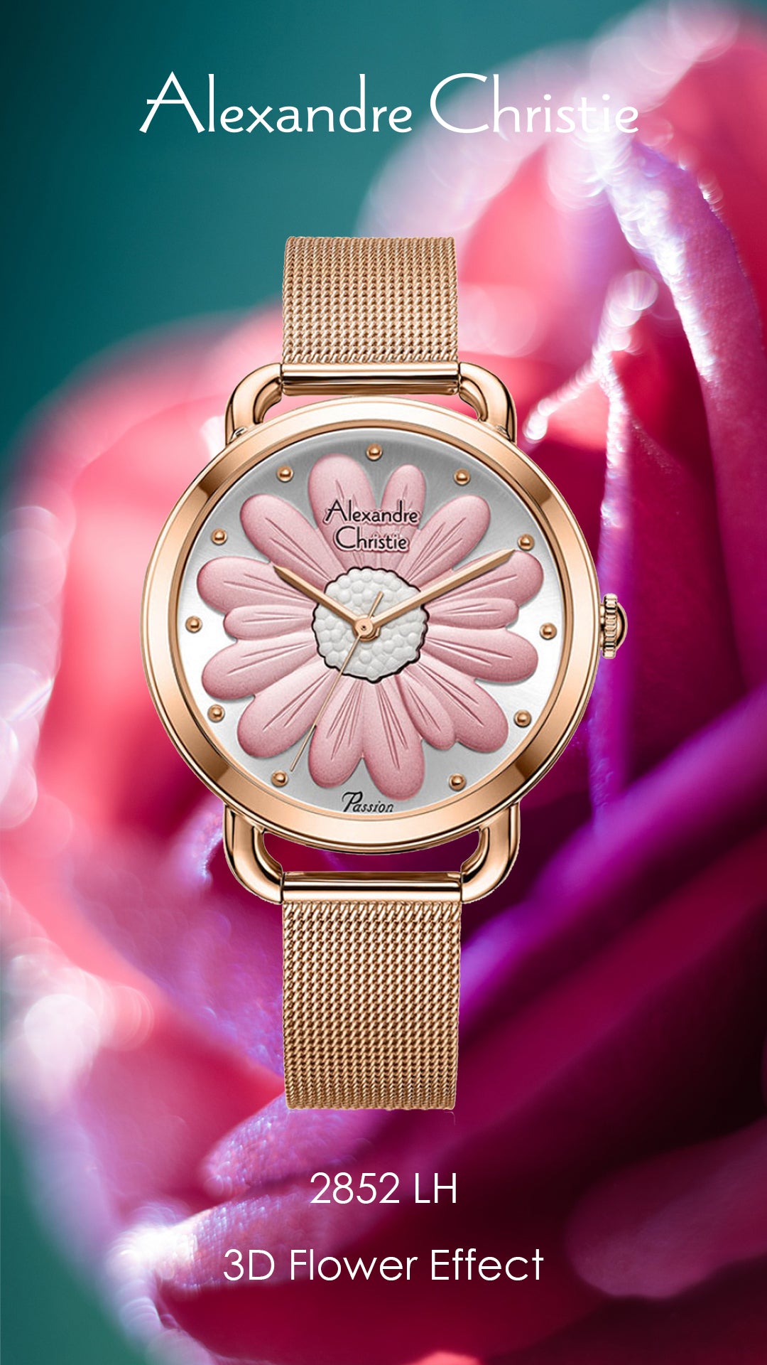 2852LHBRGLN Women's Classic Quartz Watch 36mm