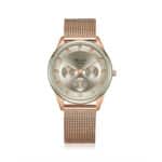 AC 2936 BFB Multi Function Watch For Women - Rose Gold